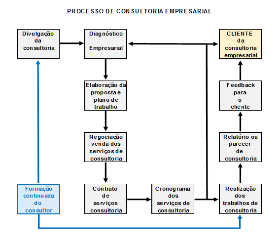 É um serviço de interação entre uma pessoa e/ou grupo de pessoas independentes, qualificadas e externas com uma organização, para identificação e investigação de situações problemas, de forma a ser recomendado ações e procedimentos para auxiliar executivos e profissionais em sua tomada de decisões.